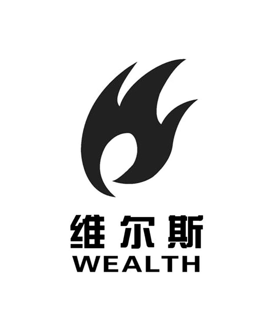 维尔斯 WEALTH