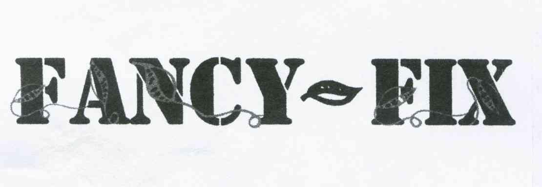 FANCY-FIX