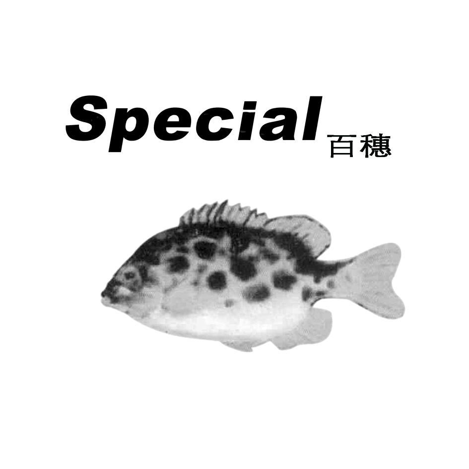 百穗 SPECIAL