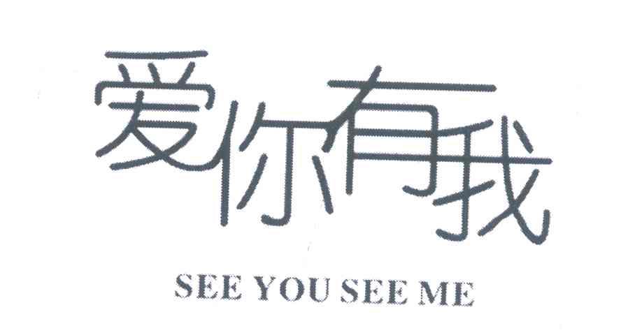 爱你有我 SEE YOU SEE ME