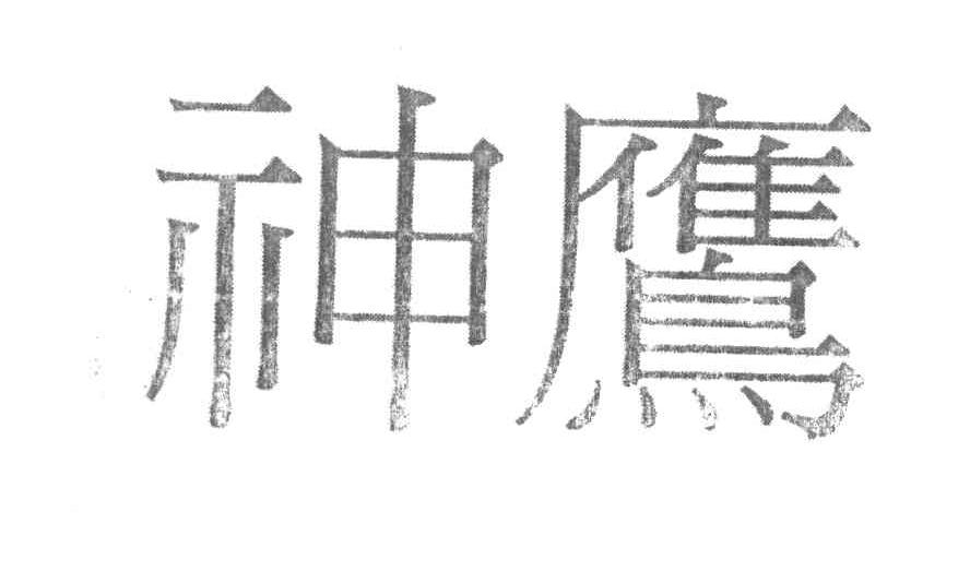 神鹰