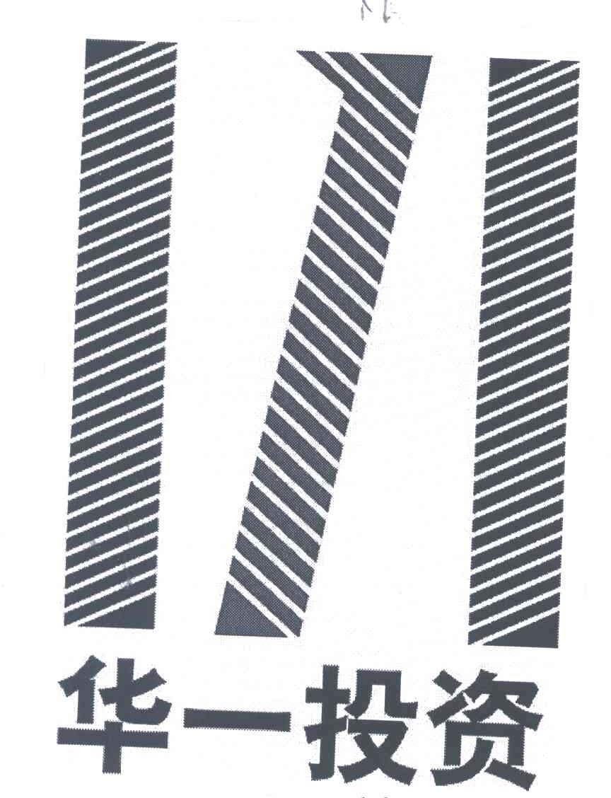 华一投资