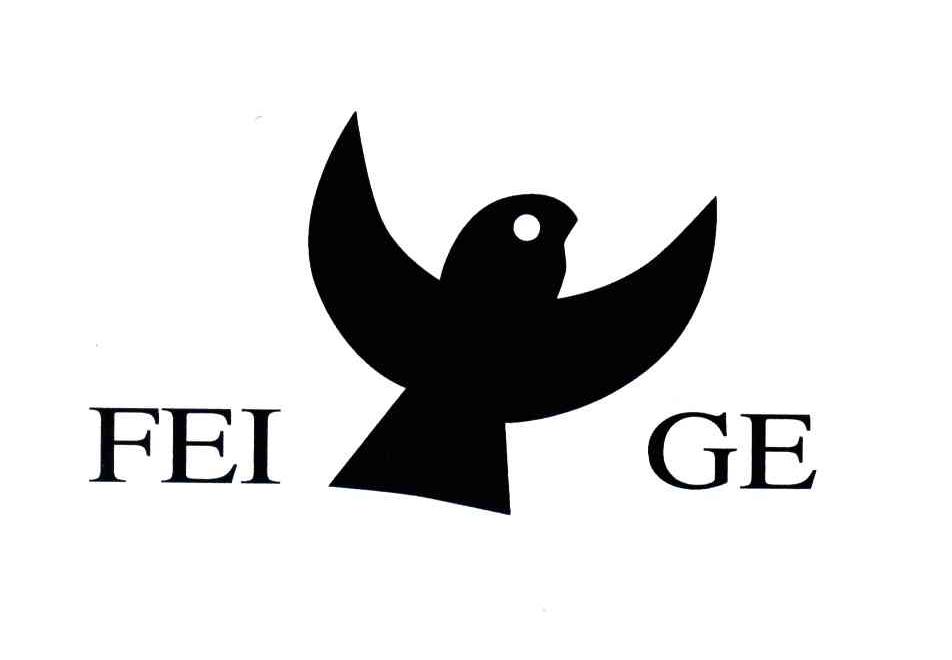 FEI GE
