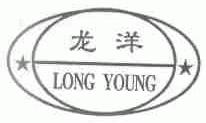 龙洋;LONG YOUNG