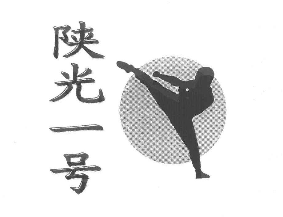 陕光一号