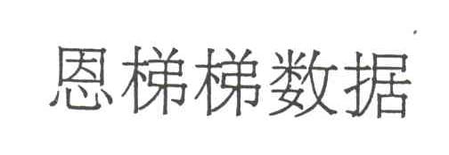 恩梯梯数据