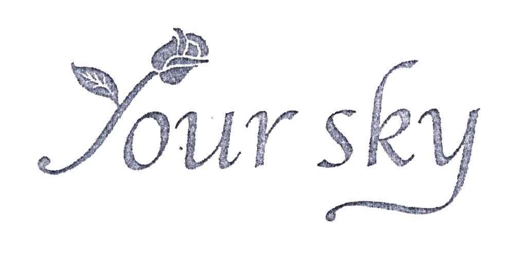 YOUR SKY