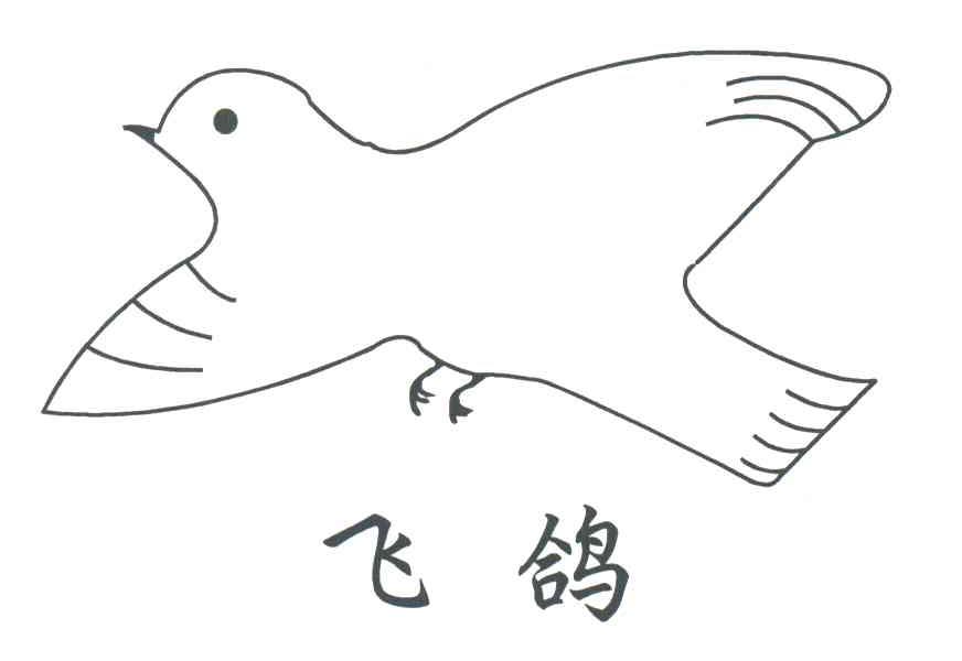飞鸽