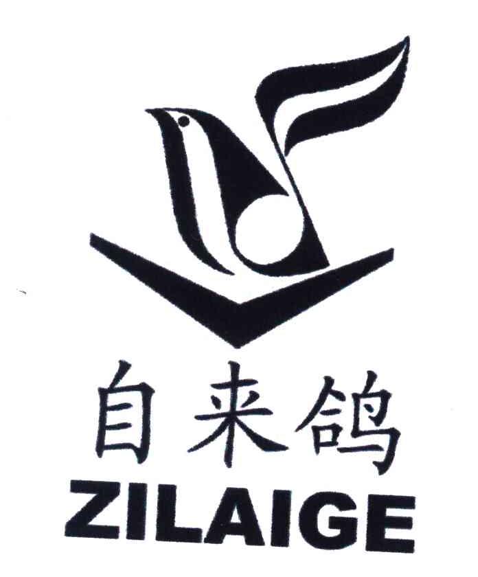 自来鸽