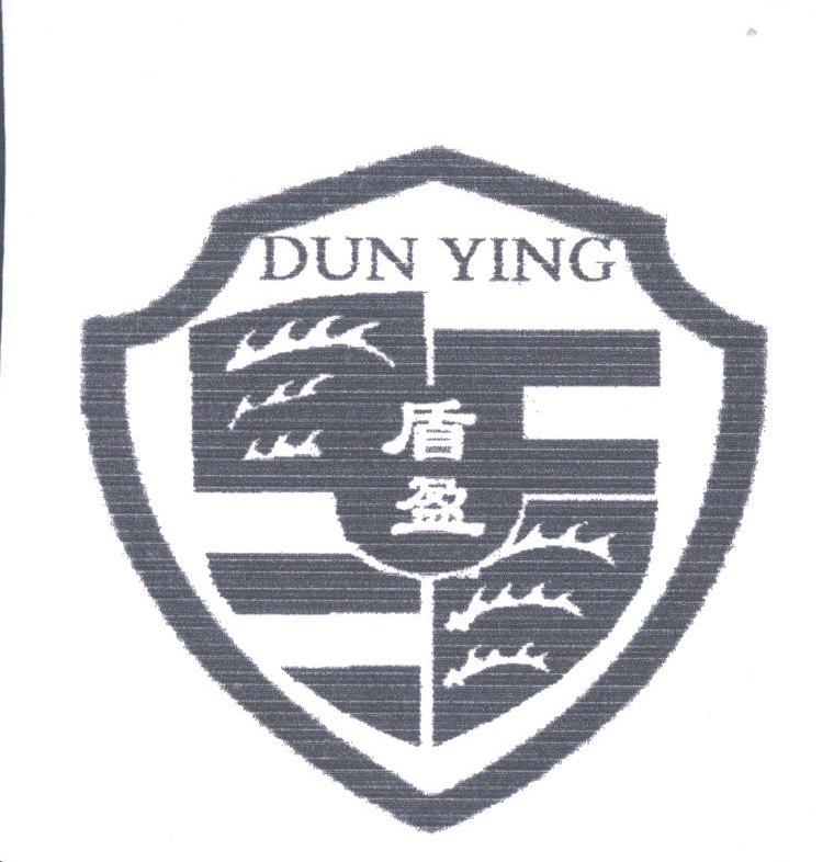 盾盈