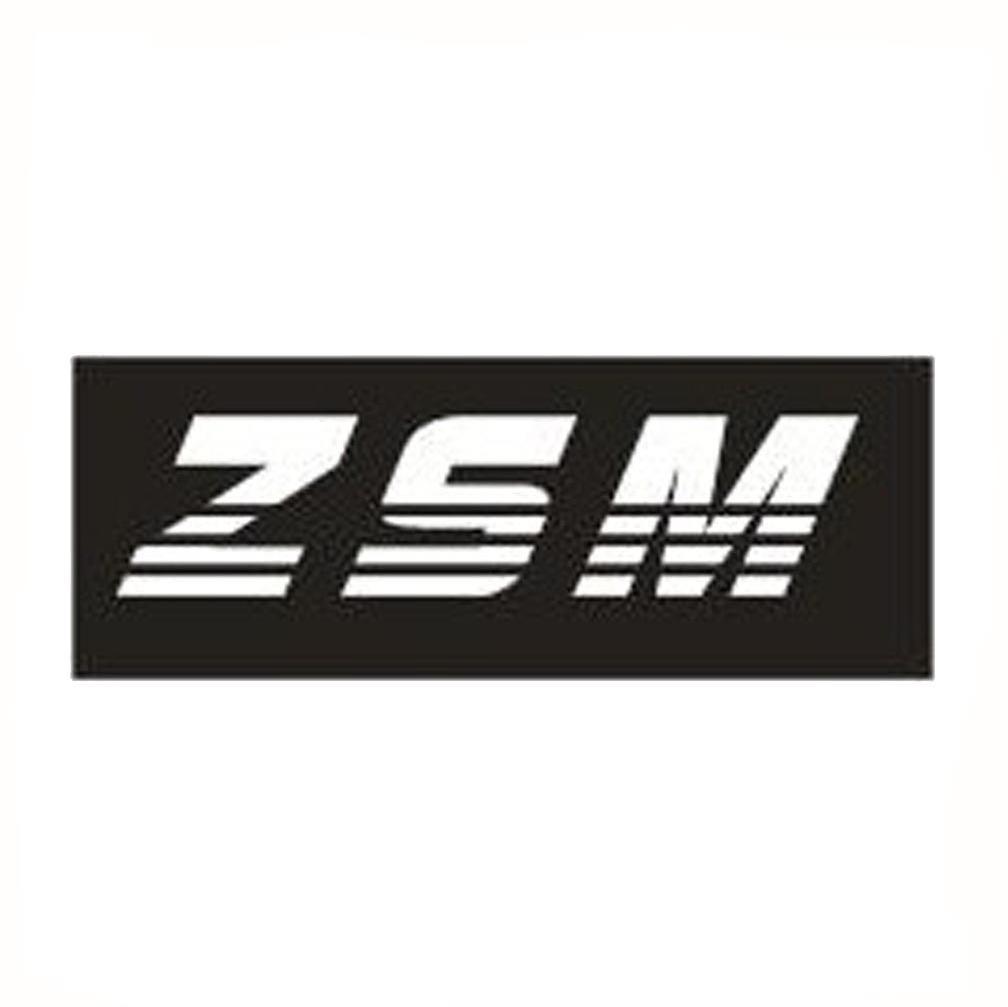 ZSM