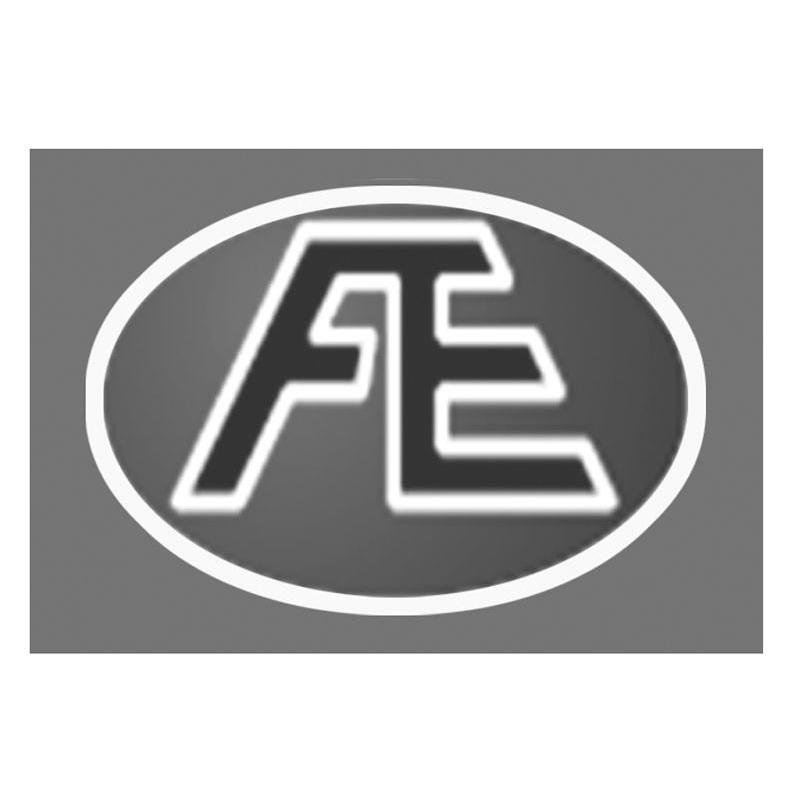 FE