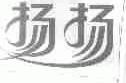 扬扬