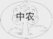 中农