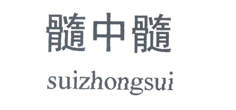 髓中髓