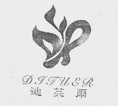迪芙尔