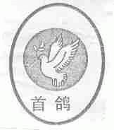 首鸽