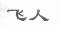 飞人