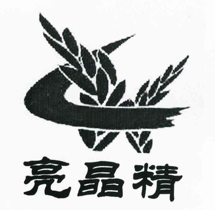 亮晶精