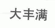 大丰满