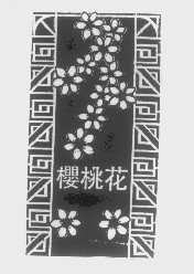 樱桃花