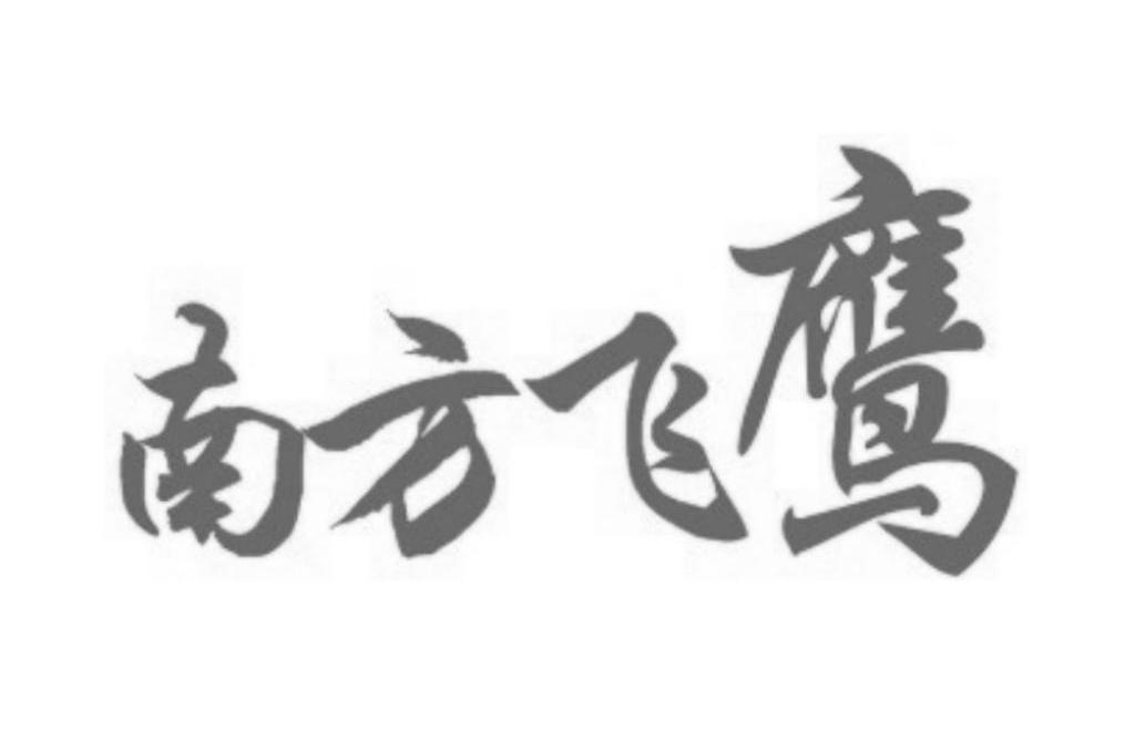 南方飞鹰