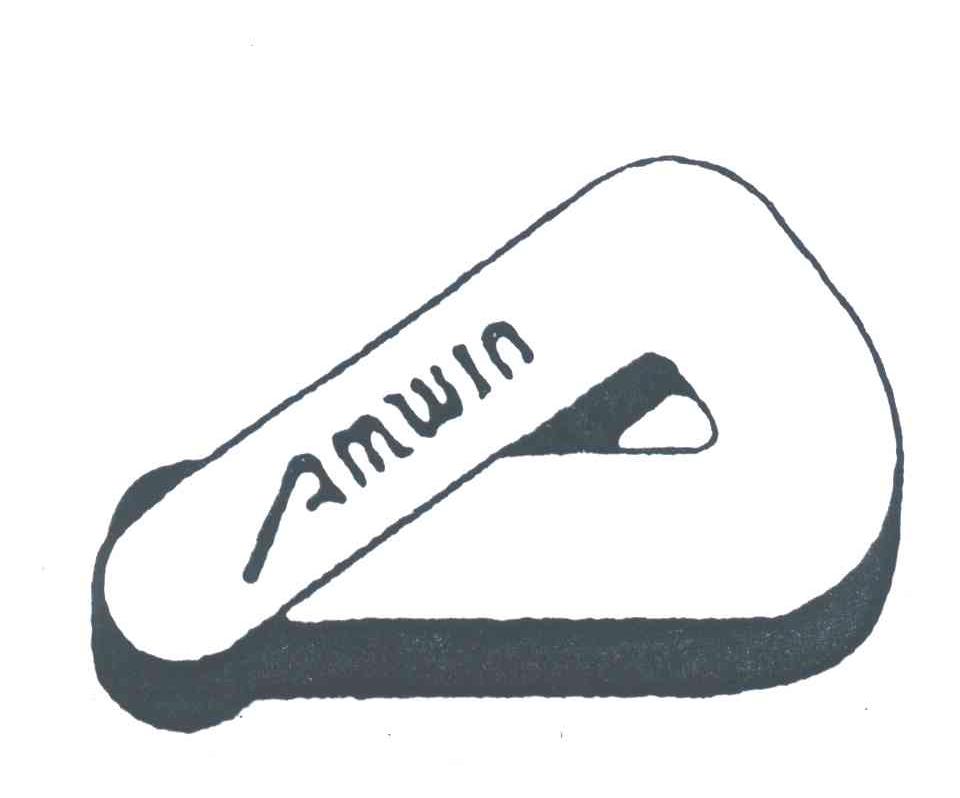 AMWIN