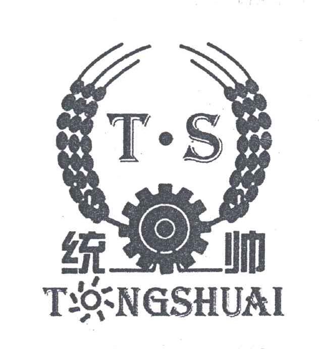 TS;统帅