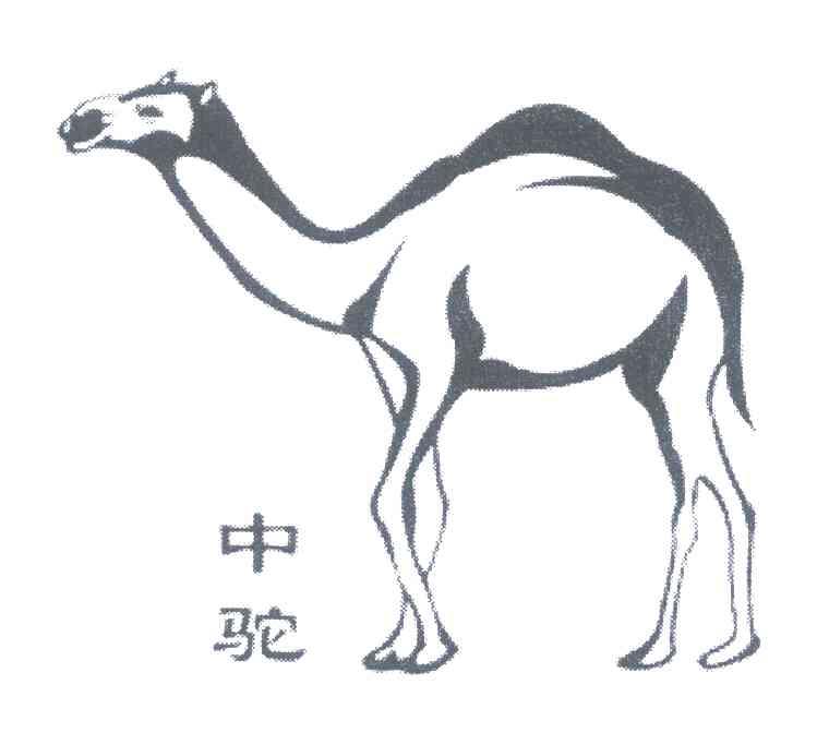 中驼