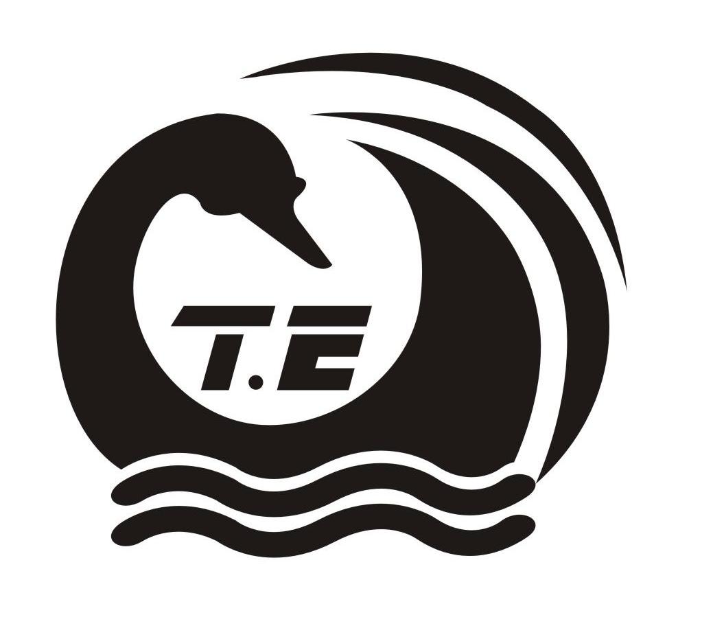 T.E