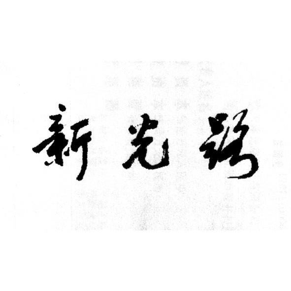 新光路