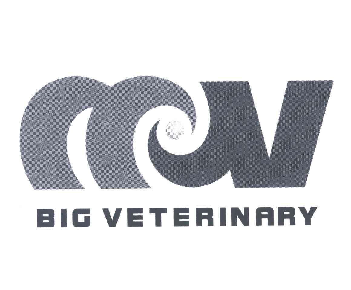 BIG VETERINARY