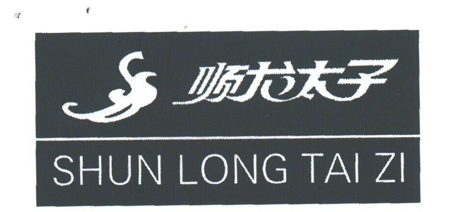 顺龙太子