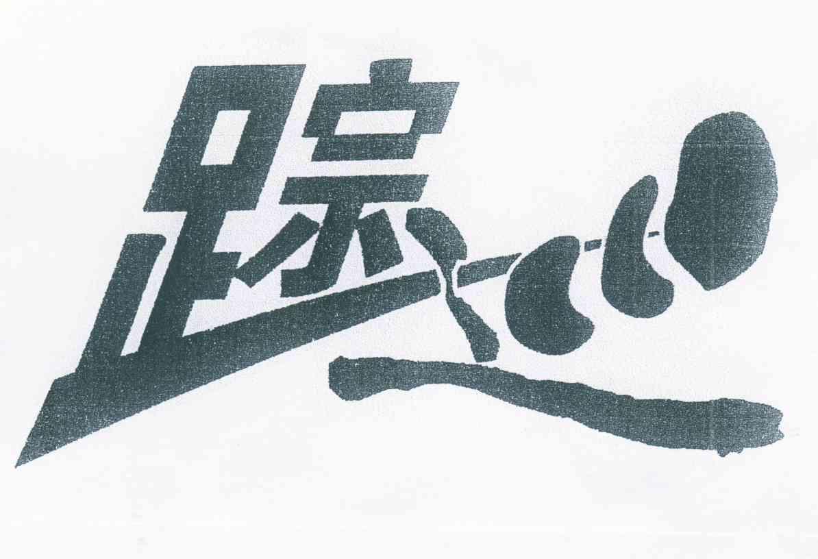 踪巡
