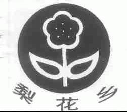 梨花乡