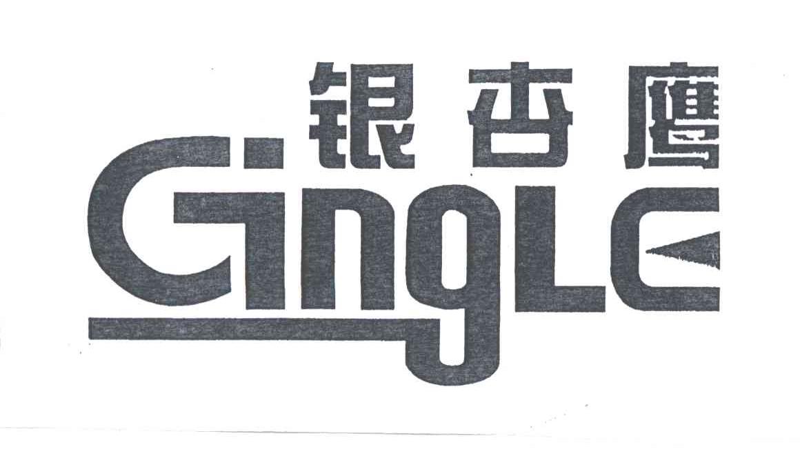 银杏鹰