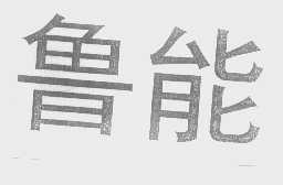 鲁能