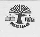 美鹿