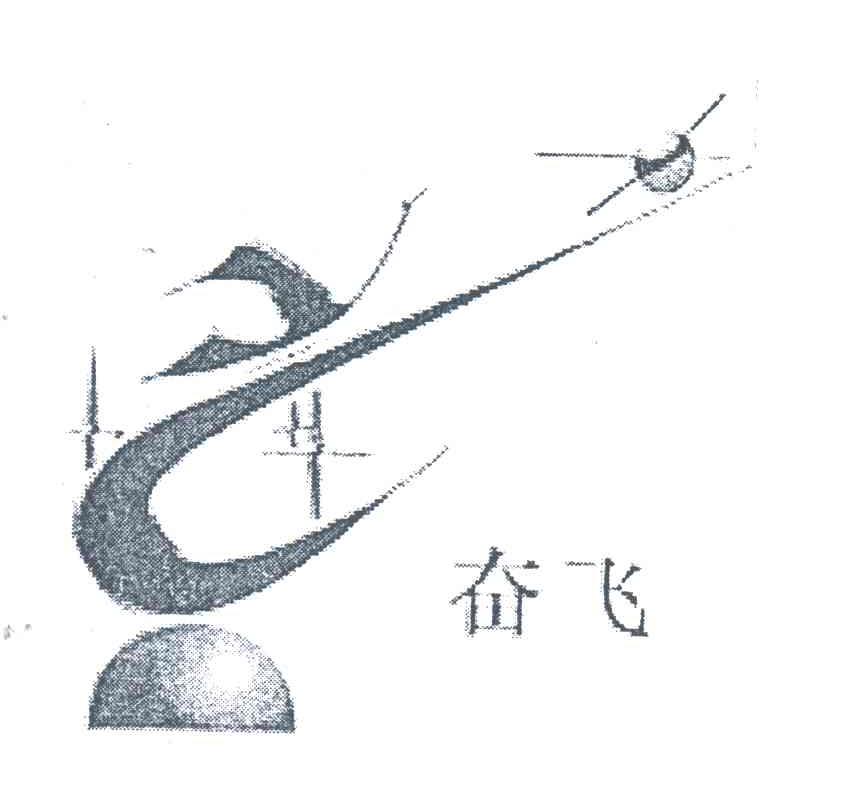 奋飞