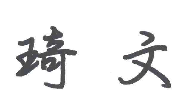 琦文