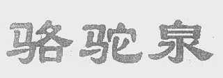 骆驼泉