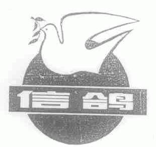 信鸽