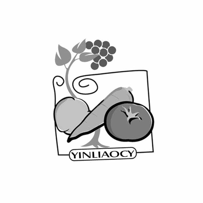 YINLIAOCY