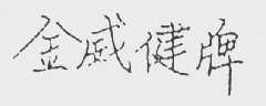 金威健牌