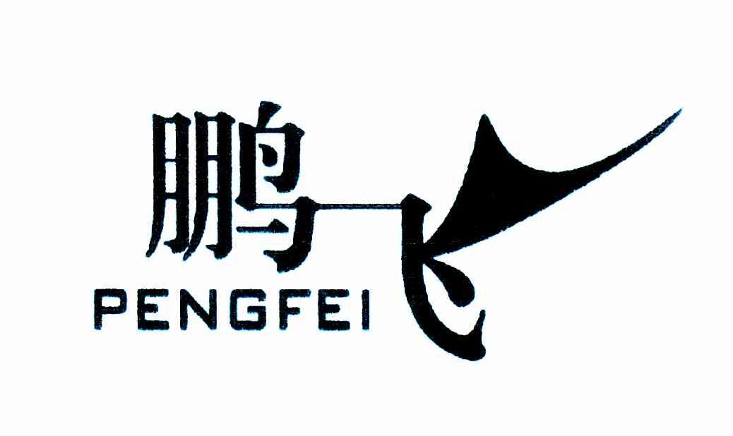 鹏飞