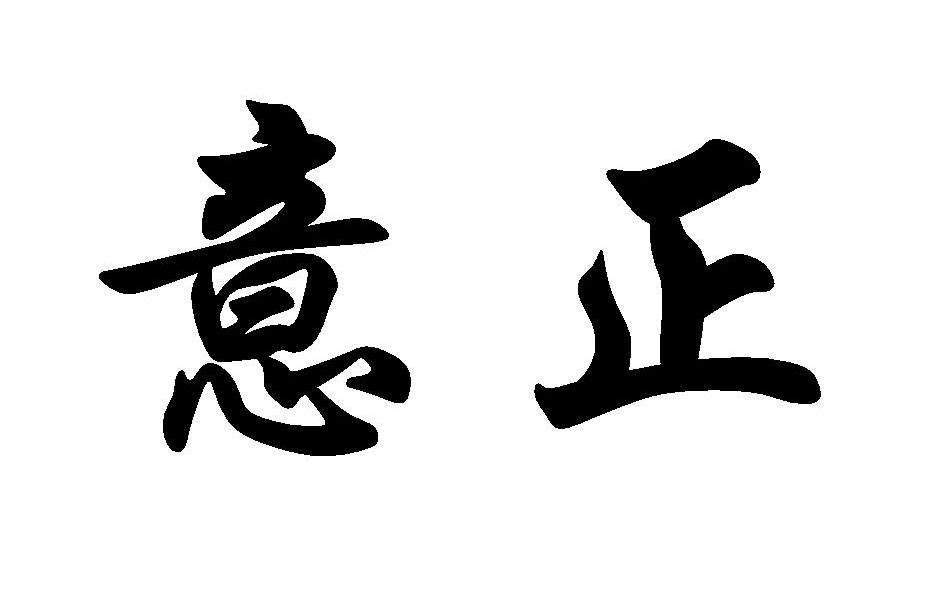 意正