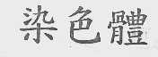 染色体