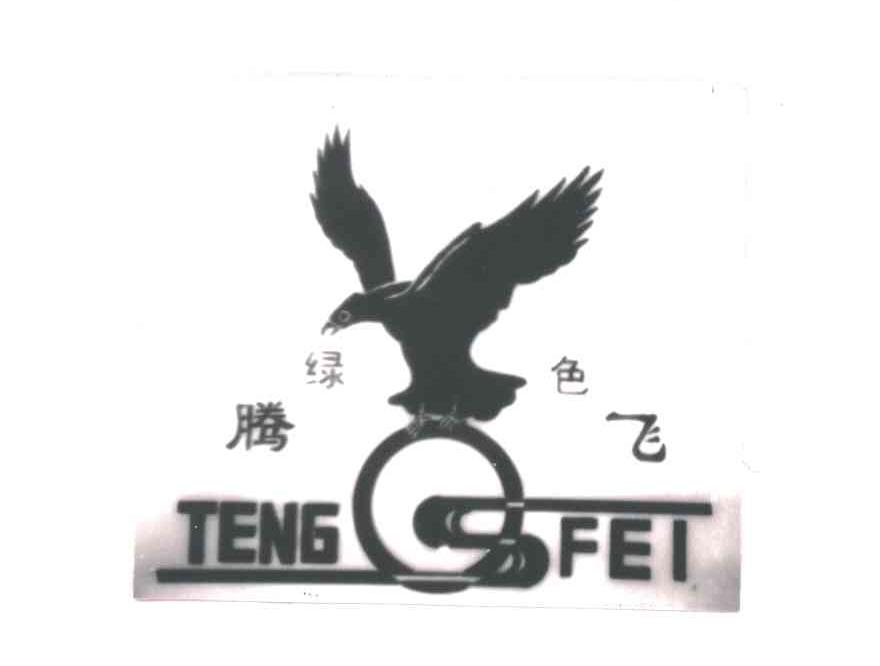 腾飞
