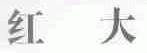 红大