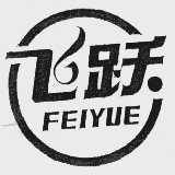 飞跃